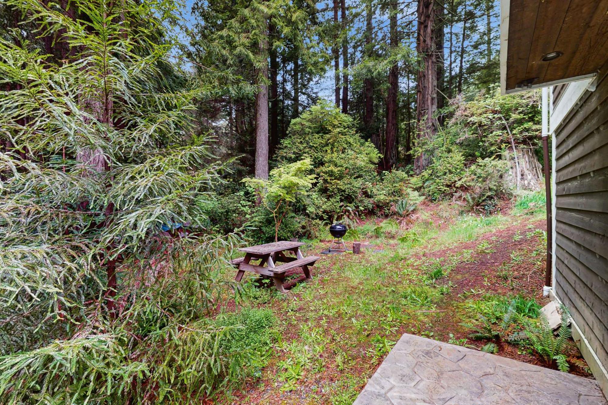 Serene Redwood Retreat Arcata Kültér fotó