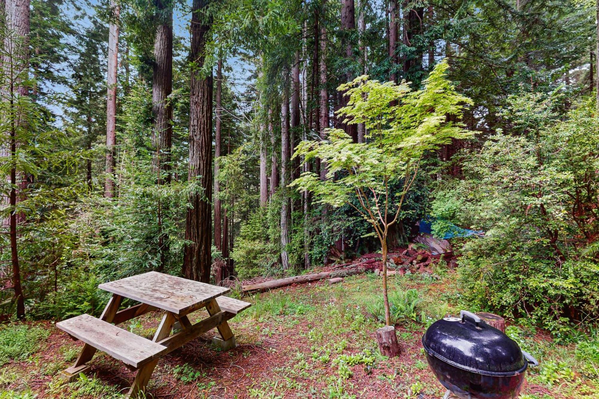 Serene Redwood Retreat Arcata Kültér fotó